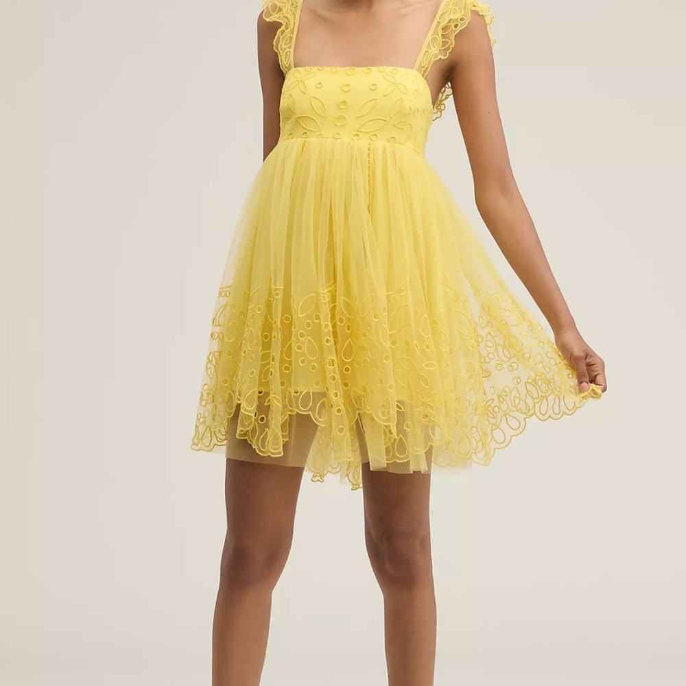 Anthropologie Let Me Be Eyelet Tulle Mini Dress 👗